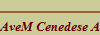 AveM Cenedese Aldo Nason