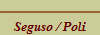 Seguso / Poli