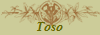 Toso