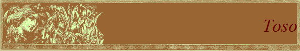 Toso